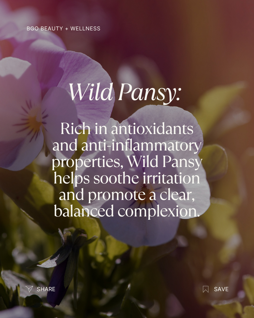 Renew Spray Serum | Hyaluronic + Phytoactive Hydrating Mist