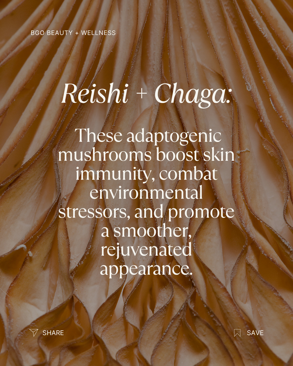 Renew Spray Serum | Hyaluronic + Phytoactive Hydrating Mist