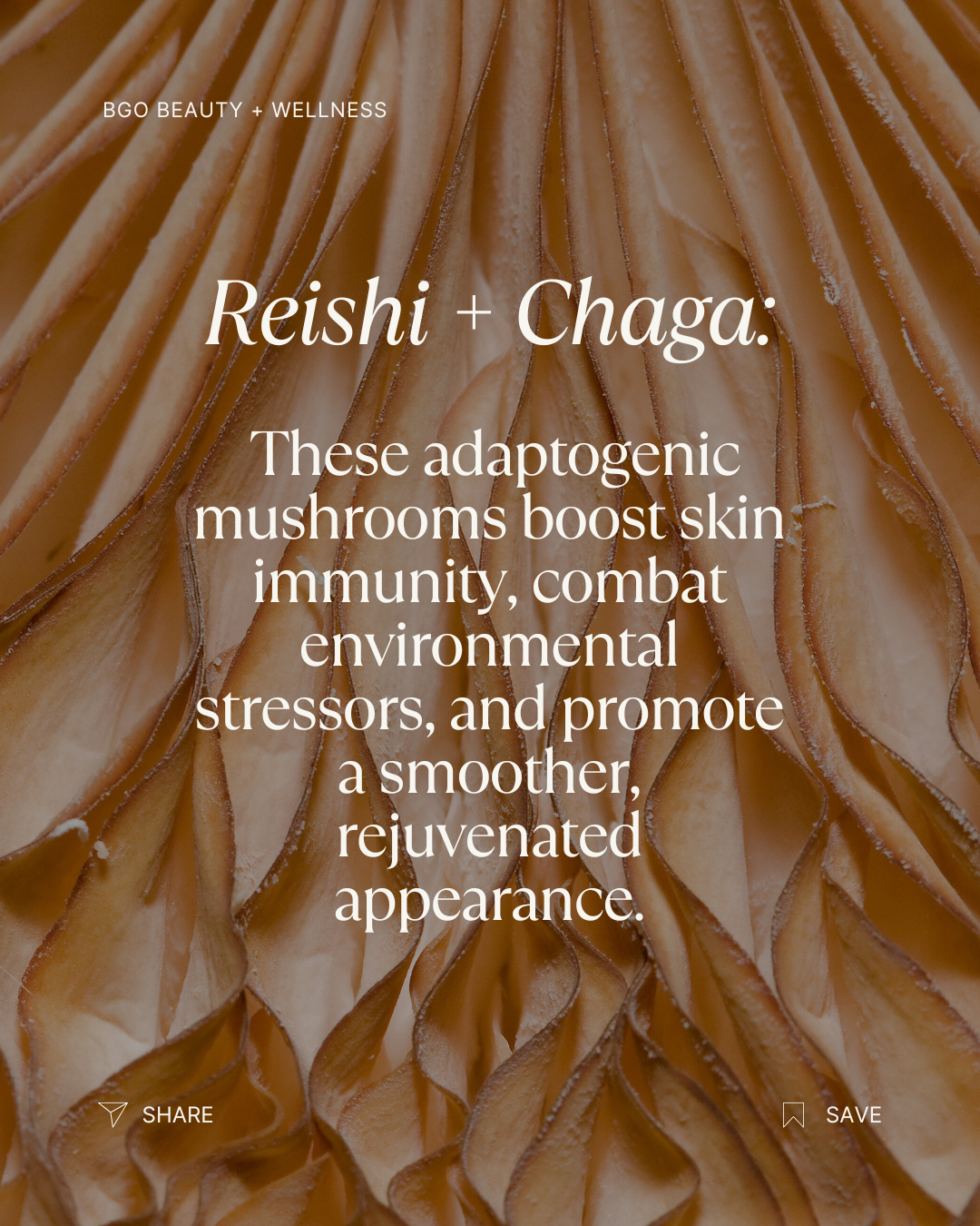 Renew Spray Serum | Hyaluronic + Phytoactive Hydrating Mist