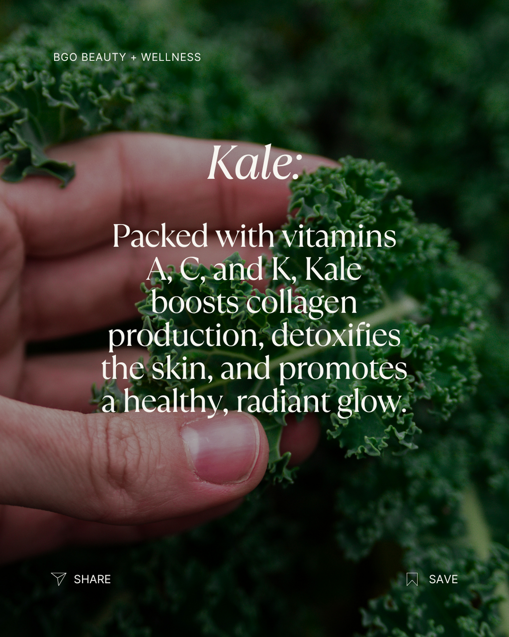 Renew Spray Serum | Hyaluronic + Phytoactive Hydrating Mist