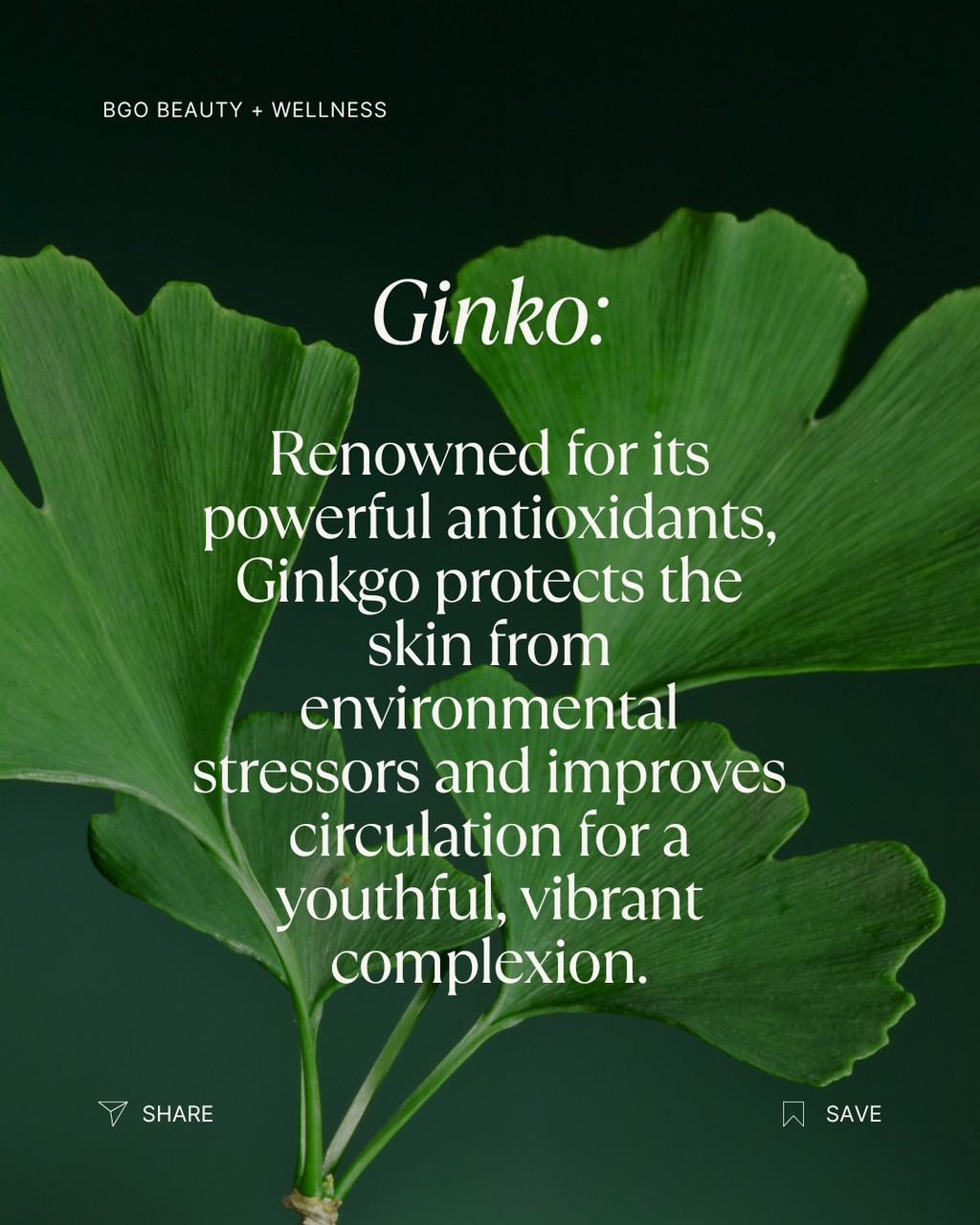 Renew Spray Serum | Hyaluronic + Phytoactive Hydrating Mist