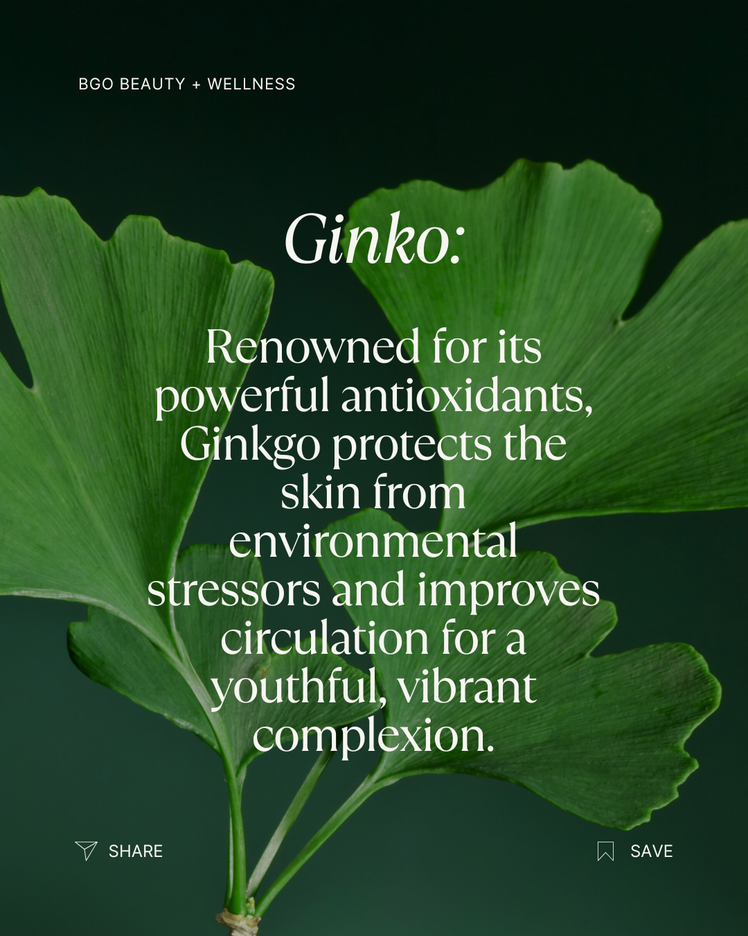 Renew Spray Serum | Hyaluronic + Phytoactive Hydrating Mist