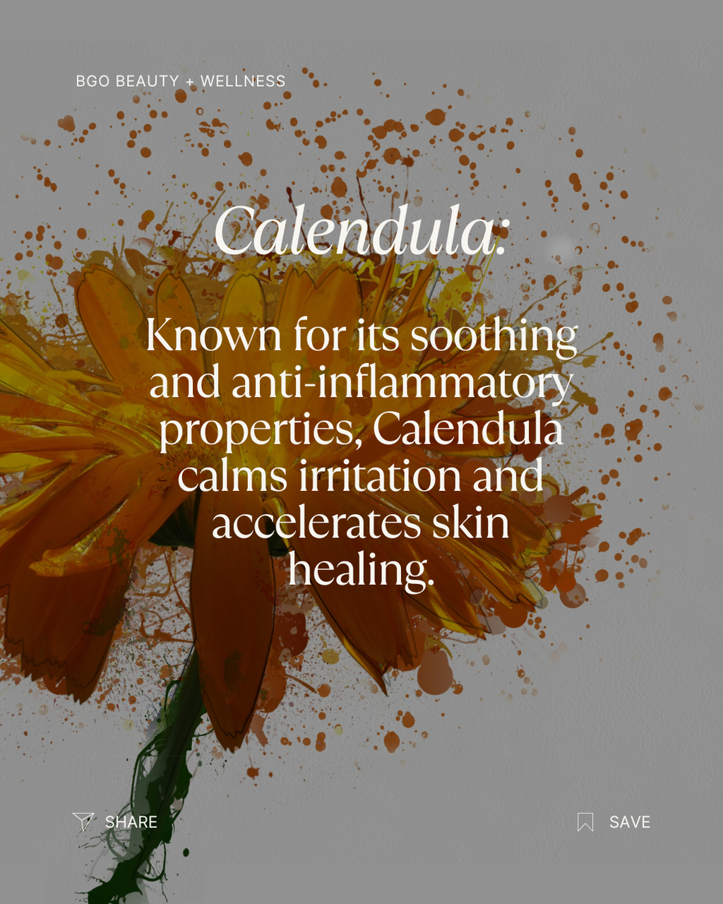 Renew Spray Serum | Hyaluronic + Phytoactive Hydrating Mist