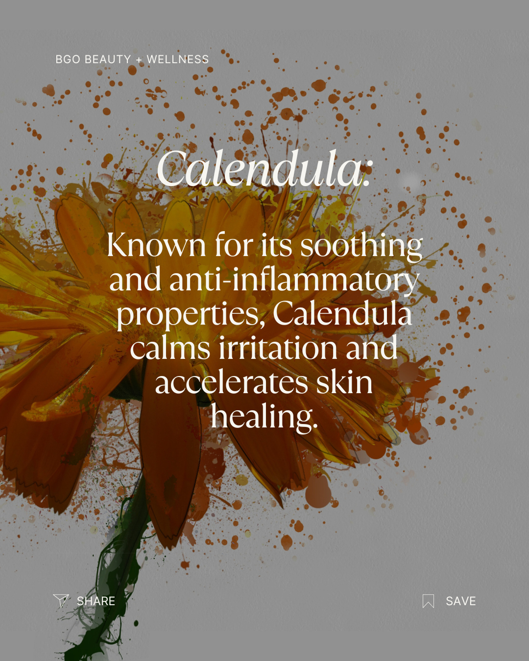 Renew Spray Serum | Hyaluronic + Phytoactive Hydrating Mist