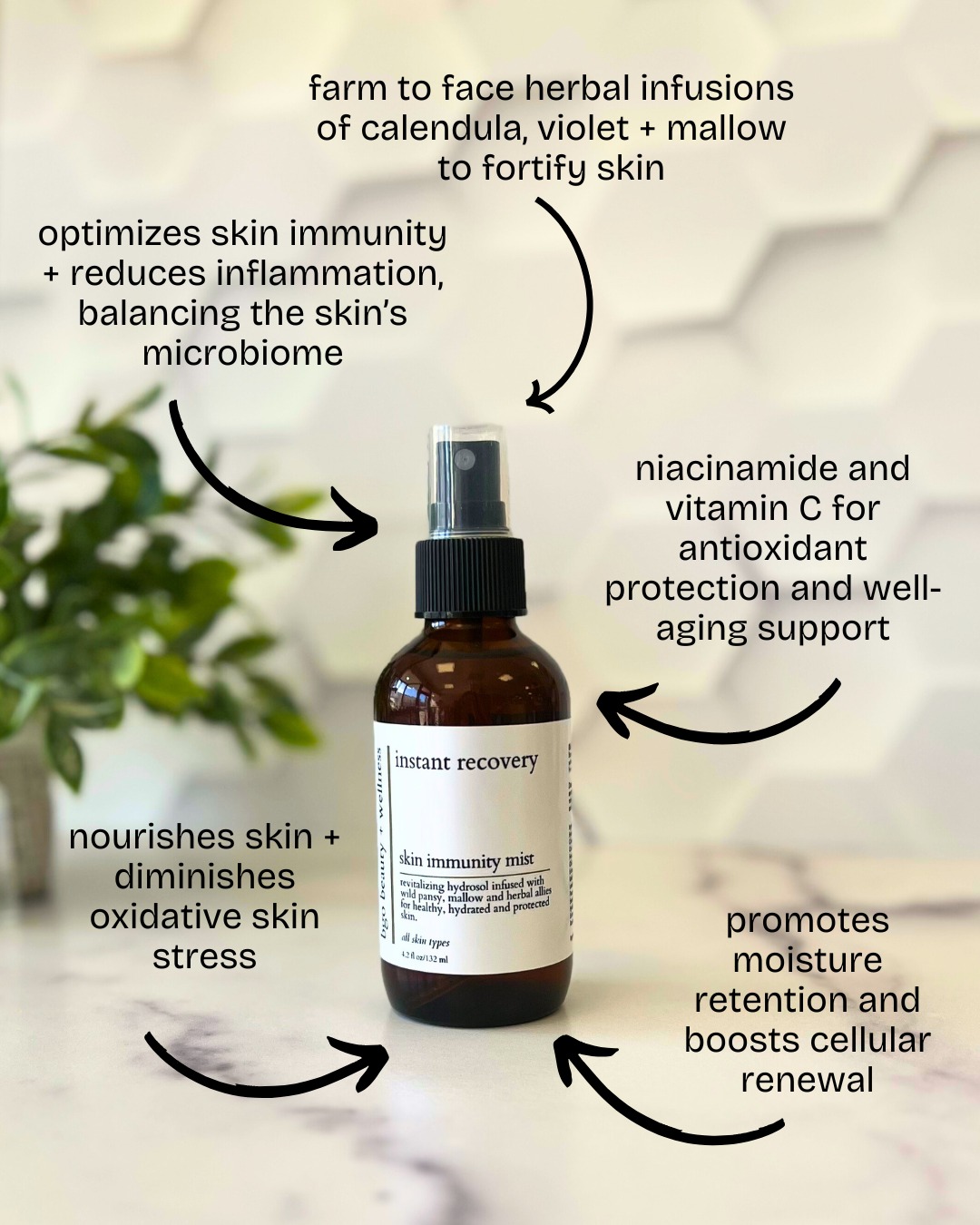 Renew Spray Serum | Hyaluronic + Phytoactive Hydrating Mist